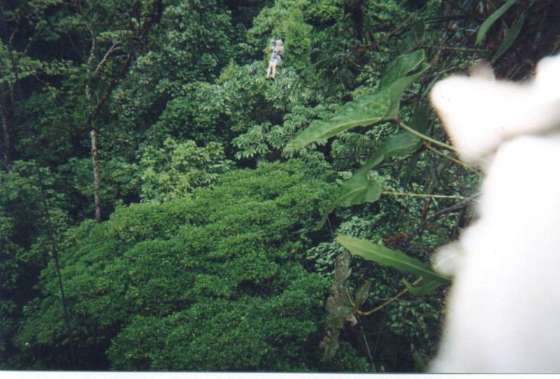 ../Images/Canopy Rider.jpg